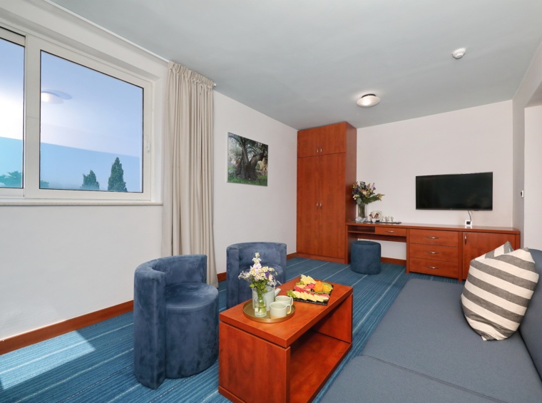 Living area with a sofa, television and coffee table