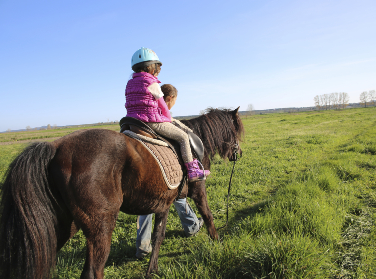 child riding a horse on a green meadow