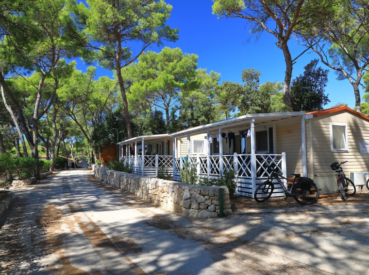 mobilheime in einem campingplatz im kiefernwald