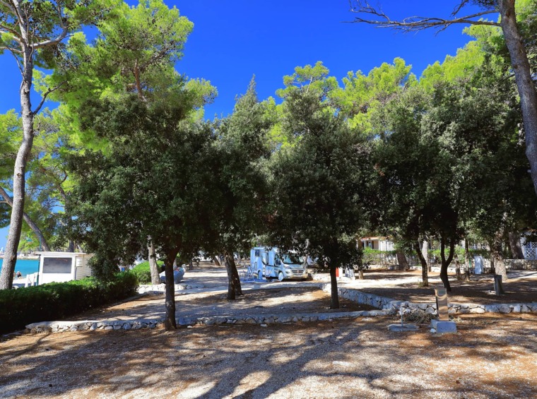 kamp u prirodi s parcelama u hladu drveća