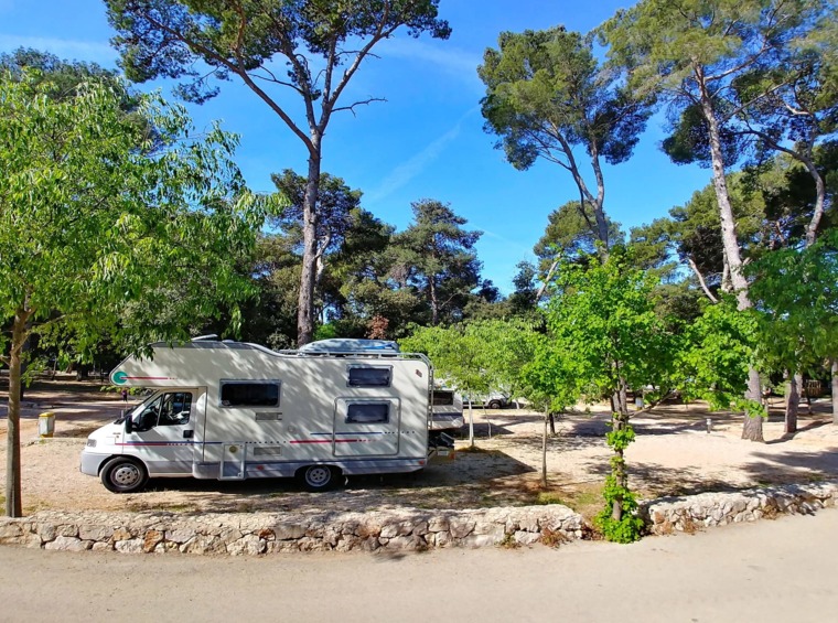 kamper vozilo parkirano u kampu okruženom borovima