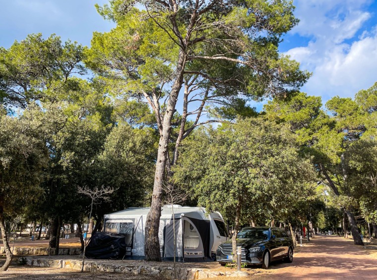 kamper parcela u borovoj šumi