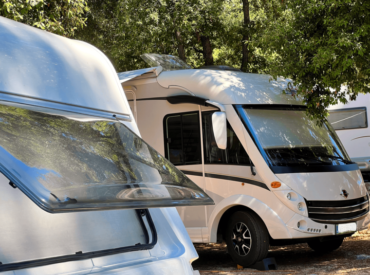 modern motorhomes parked in pine forest