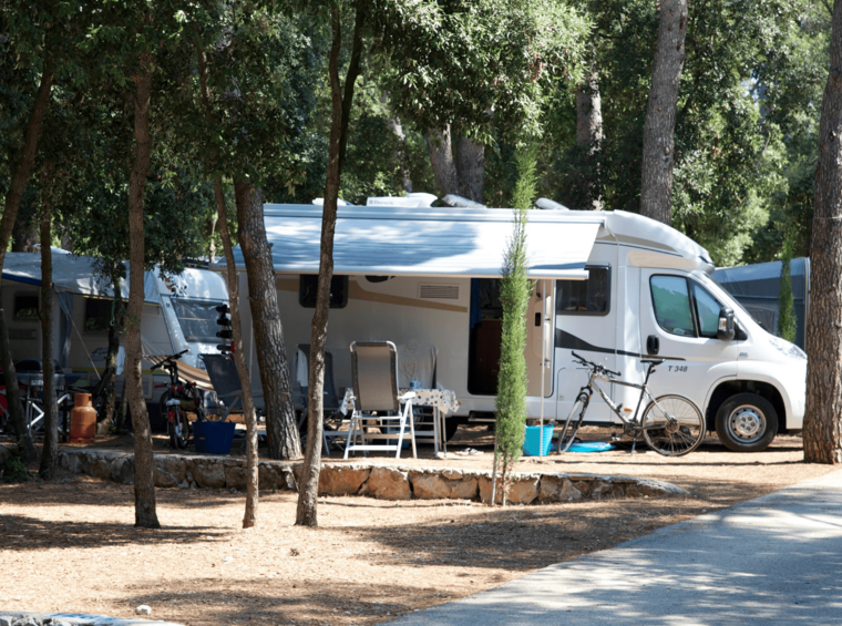 Wohnmobile auf organisierten Stellplätzen im schattigen Campingplatz