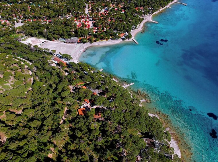 zračni pogled na obalo z borovim gozdom in plažo