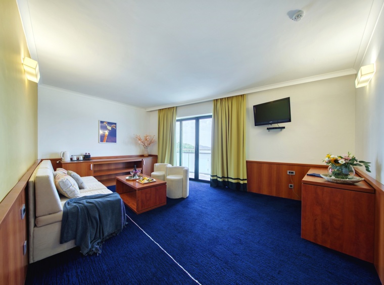 Prostrana hotelska soba s kaučem i televizorom