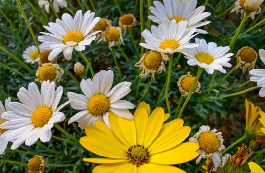 Easter Package at Hotel Ilirija 