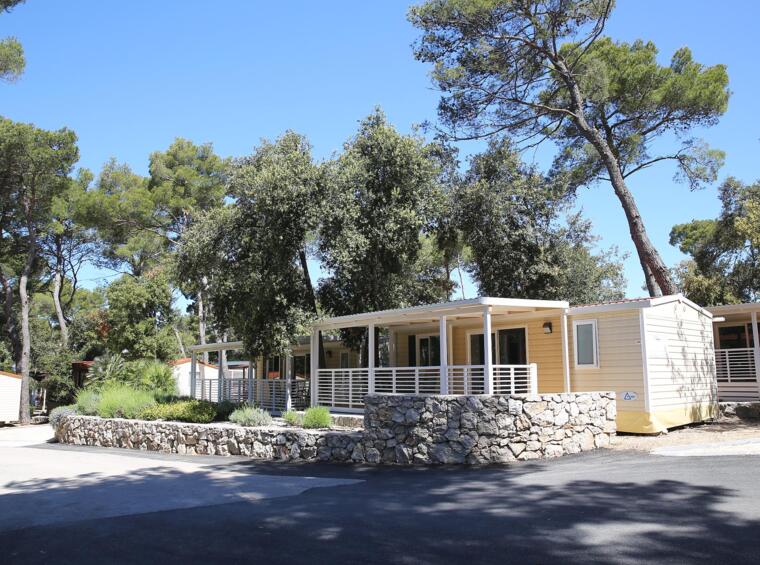 Mobilna kućica u kampu okružena borovima