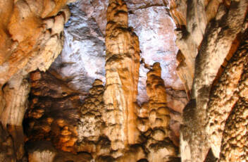 In der Welt der Unterwelt